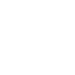 ce logo Hurricane